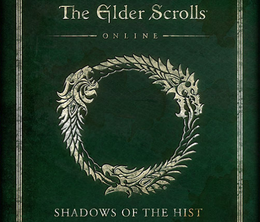 image-https://media.senscritique.com/media/000018456703/0/the_elder_scrolls_online_shadows_of_the_hist.png