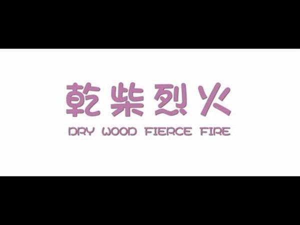 Dry Wood Fierce Fire