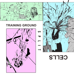 Training Ground / Cells Split