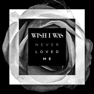 Never Loved Me (Single)