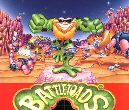 image-https://media.senscritique.com/media/000018460504/0/battletoads.png