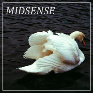 Midsense Vol. 1