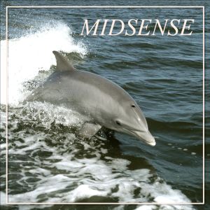 Midsense Vol. 2