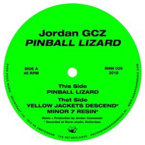 Pinball Lizard (EP)