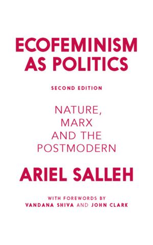 Ecofeminism as politics