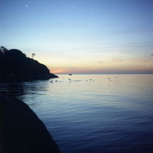 Let's Split (Single)