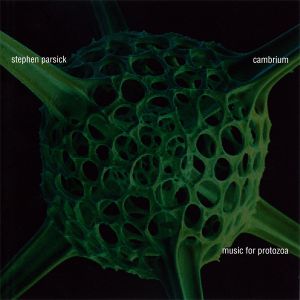 Cambrium: Music for Protozoa (Live)