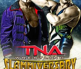 image-https://media.senscritique.com/media/000018467837/0/slammiversary_viii.jpg