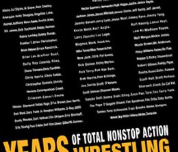 image-https://media.senscritique.com/media/000018469903/0/slammiversary_10.jpg