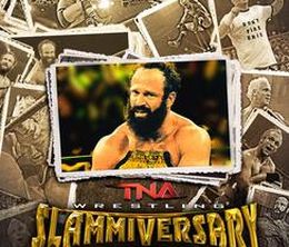 image-https://media.senscritique.com/media/000018470013/0/slammiversary_xii.jpg