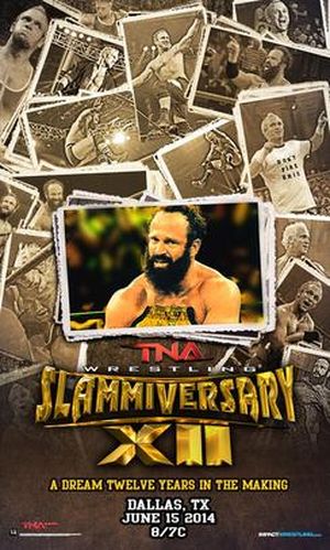 Slammiversary XII