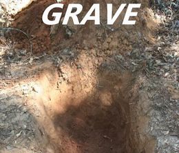 image-https://media.senscritique.com/media/000018475579/0/shallow_grave.jpg