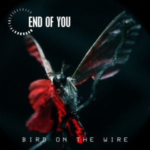 Bird on the Wire (Single)