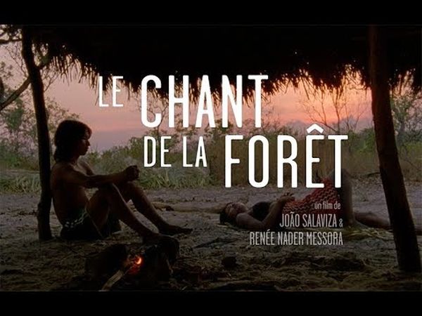 Le Chant de la forêt