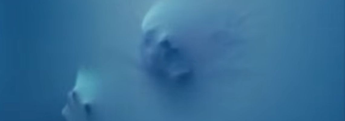 Cover True Horror (2018)