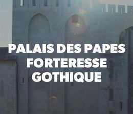 image-https://media.senscritique.com/media/000018487147/0/palais_des_papes_forteresse_gothique.jpg