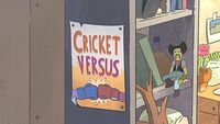 Cricket Versus