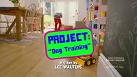 Project Dog Training