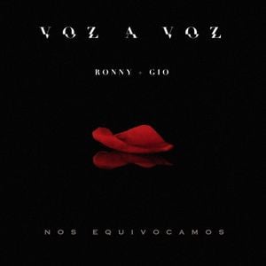 Nos equivocamos (Single)