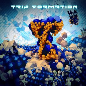 Trip Formation