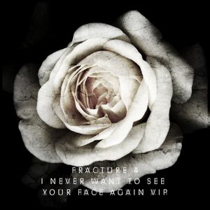 I Never Want to See Your Face Again VIP (Single)