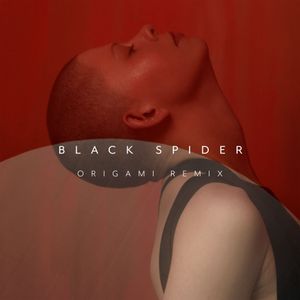 Black Spider (Origami remix) (Single)