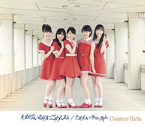 わかっているのにごめんね / ためらいサマータイム (Single)