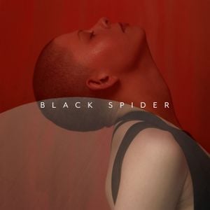 Black Spider (Single)