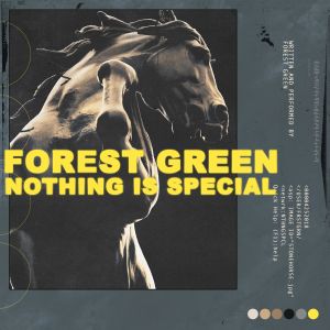Nothing Is Special (EP)