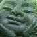 Avatar TsumegoSan Avatar TsumegoSan