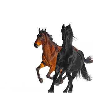 Old Town Road (remix) (Single)