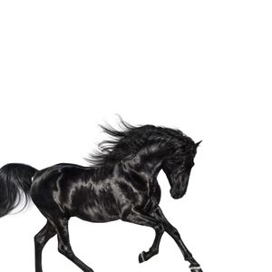 Old Town Road (Single)
