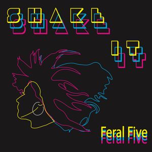 Shake It (Single)