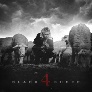 Black Sheep 4