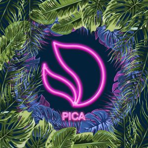 Pica (Single)