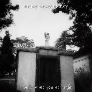 I Only Visit You at Night (Single)