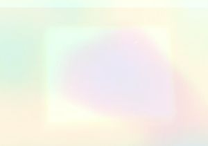 Plastic Bird Watcher