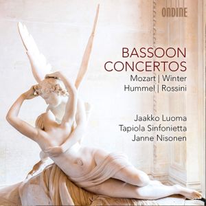 Bassoon Concertino in C Minor