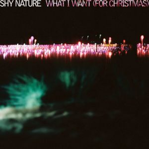 What I Want (For Christmas) (Single)