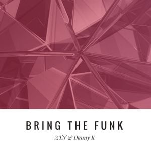 Bring the Funk (Single)