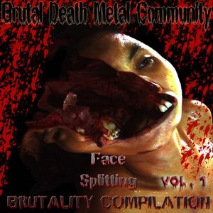 BDMC Face Splitting Brutality Compilation Vol. 1