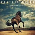 Pochette Western Stars Pochette Western Stars