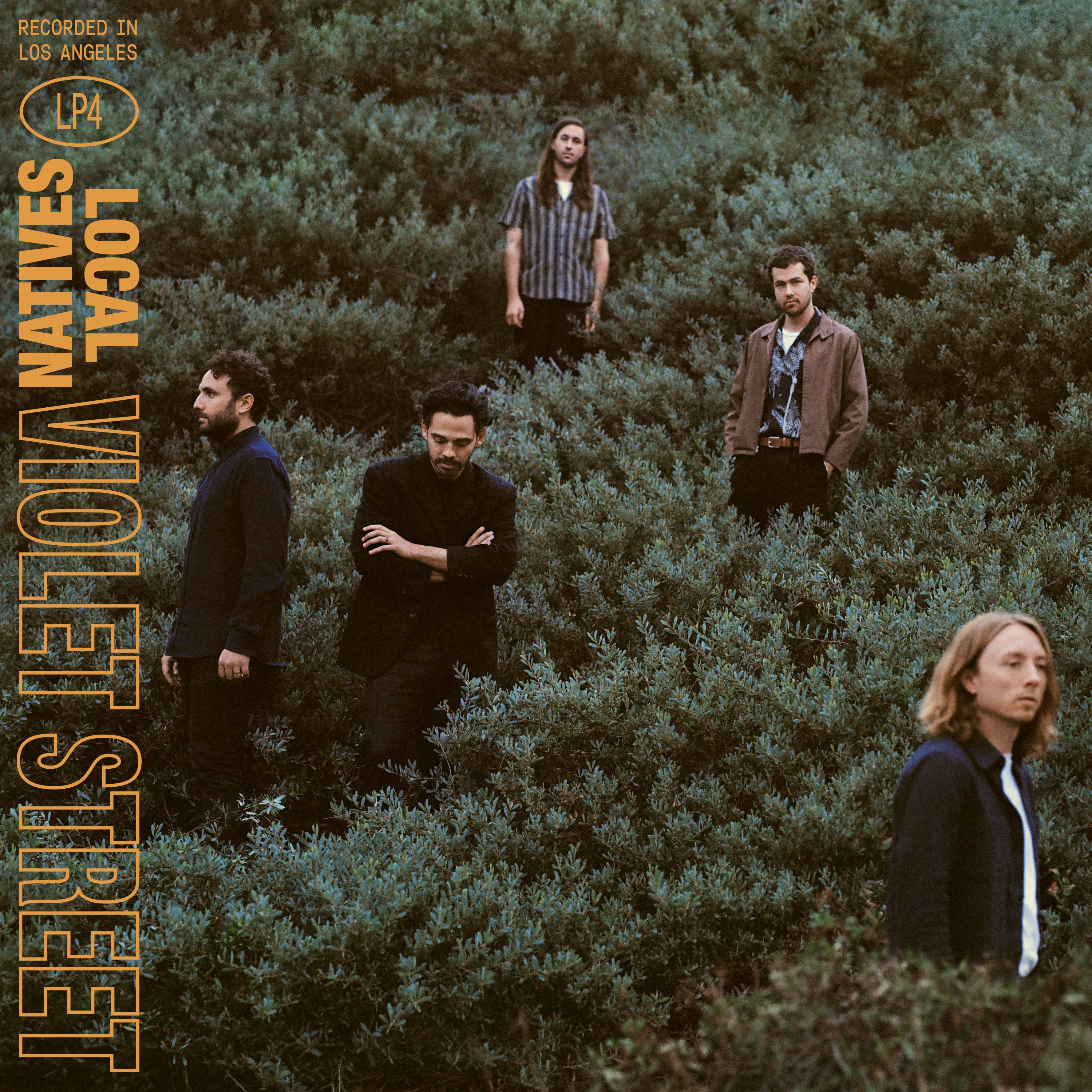 Violet Street Local Natives SensCritique