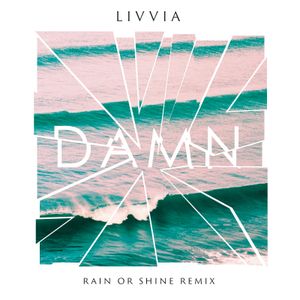 Damn (Rain or Shine remix)