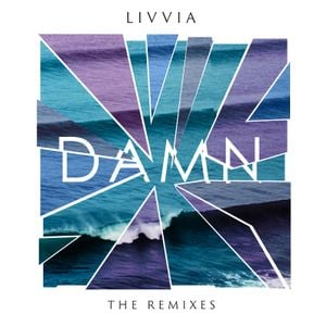 Damn (the remixes)