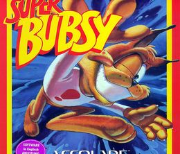 image-https://media.senscritique.com/media/000018534208/0/super_bubsy.jpg