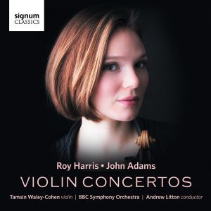 Concerto for Violin and Orchestra: Section Two