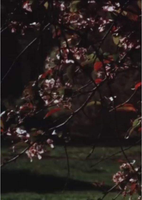 Arc of Spring