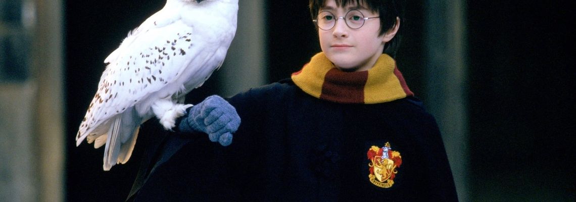 Cover Harry Potter à l'école des sorciers