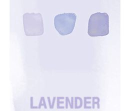 image-https://media.senscritique.com/media/000018546668/0/lavender.jpg